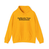 Calibrate Your Enthusiasm Hoodie