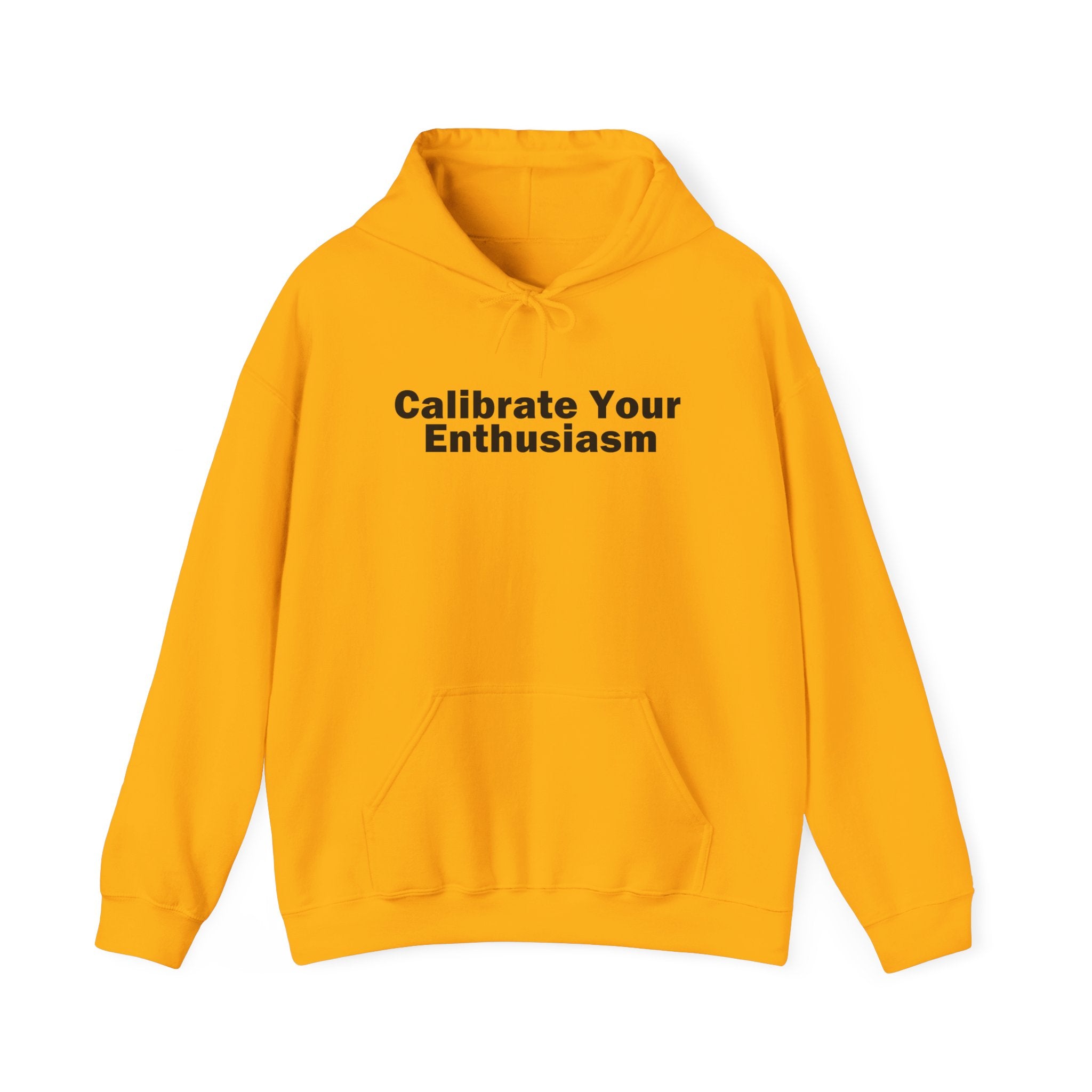 Calibrate Your Enthusiasm Hoodie