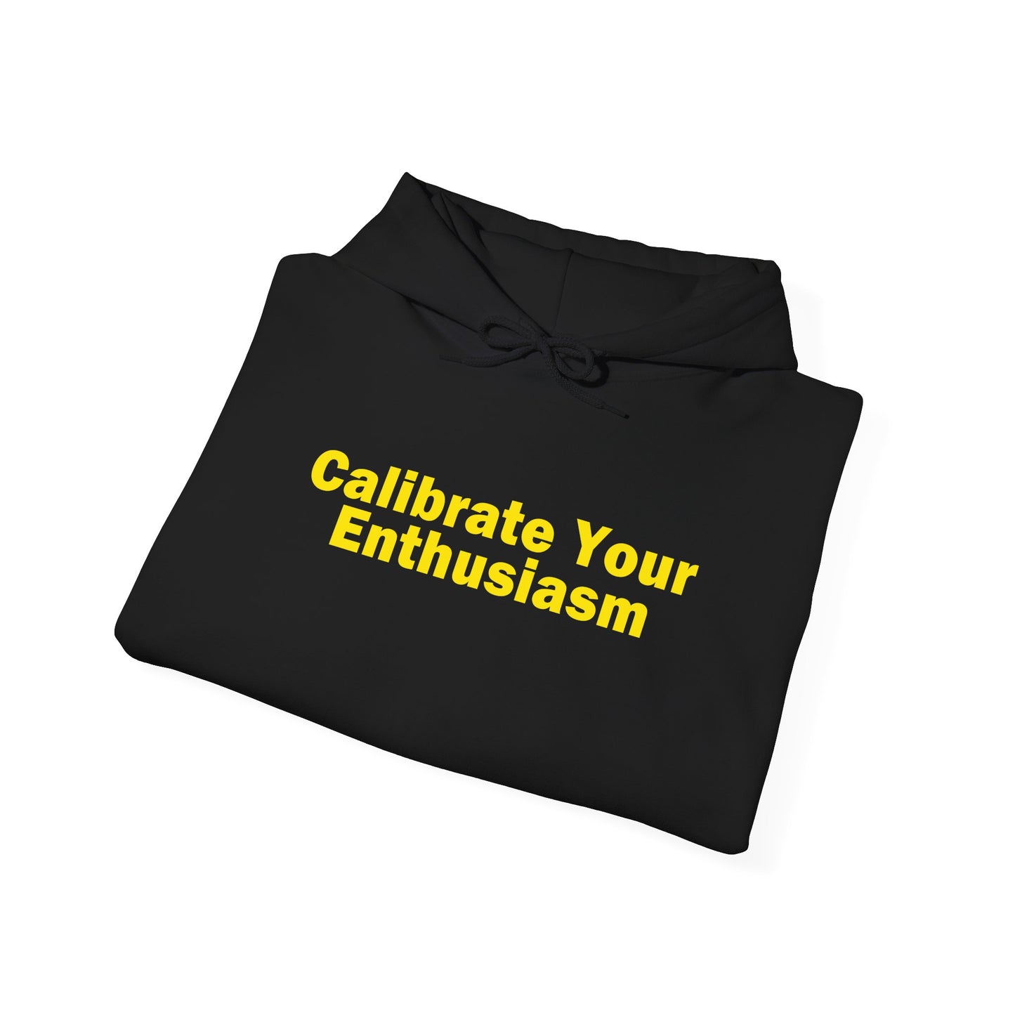 Calibrate Your Enthusiasm Hoodie