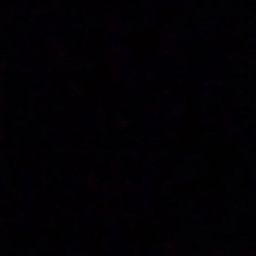 Leaves Eyes - We Came With the Northern Winds: En Saga I Belgia