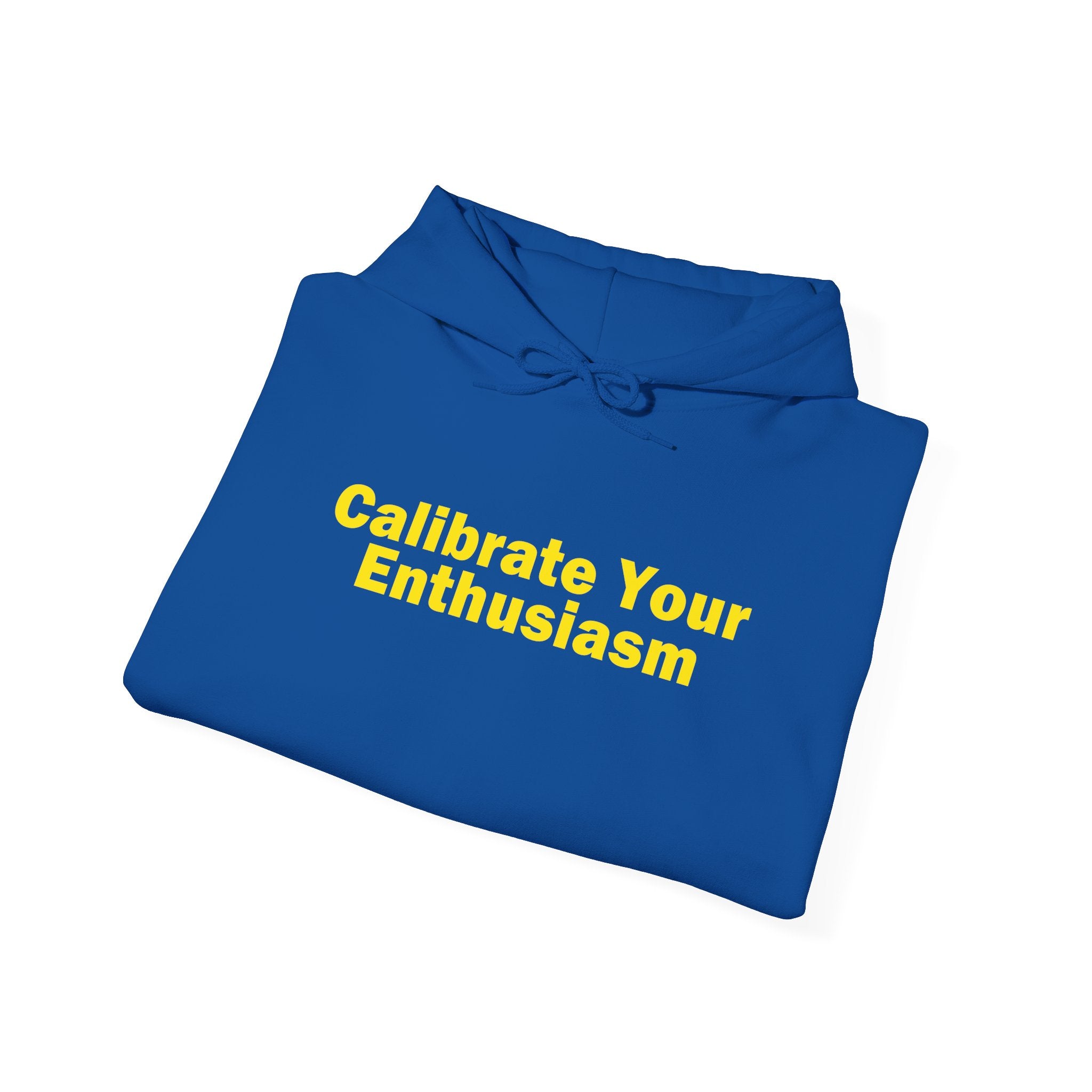 Calibrate Your Enthusiasm Hoodie
