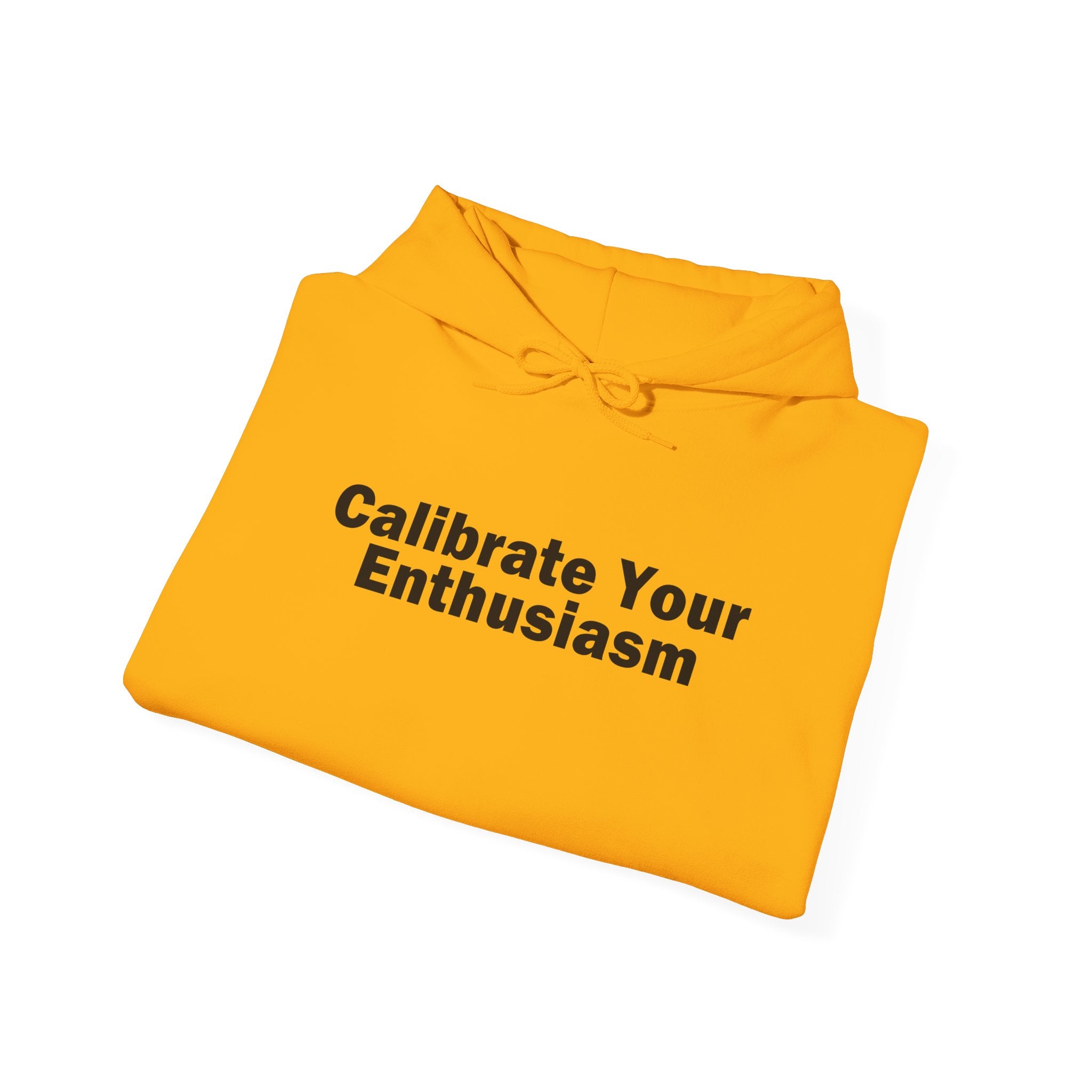 Calibrate Your Enthusiasm Hoodie