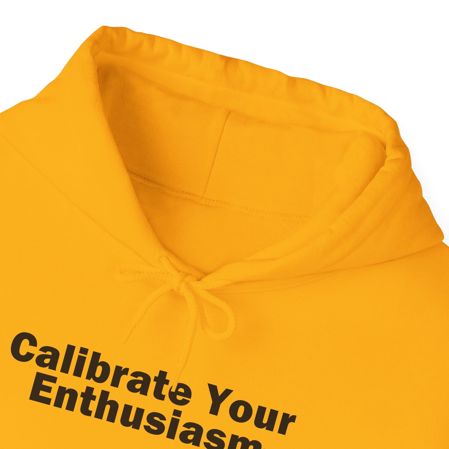 Calibrate Your Enthusiasm Hoodie