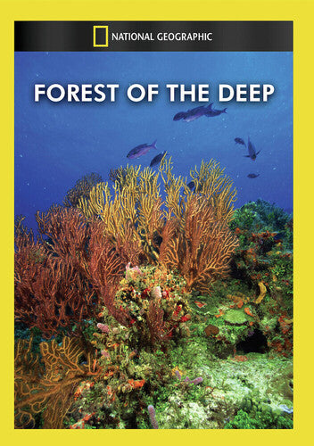 Forest of the Deep - Forest of the Deep