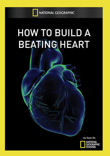 How To Build a Beating Heart - How to Build a Beating Heart
