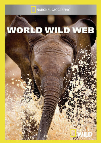 World Wild Web - World Wild Web