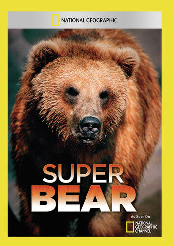 Super Bear - SUPER BEAR