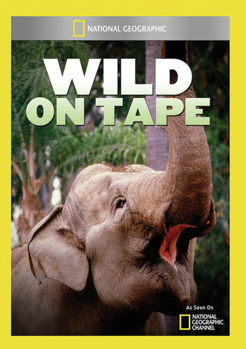 Wild On Tape - Wild on Tape