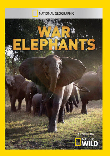 War Elephants - War Elephants