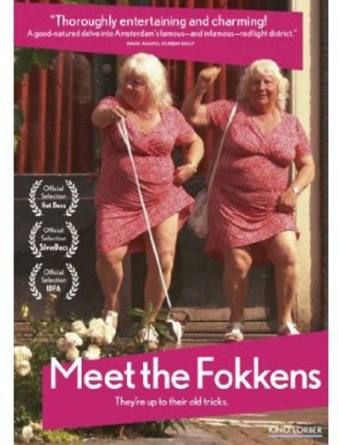 Meet the Fokkens (2011)