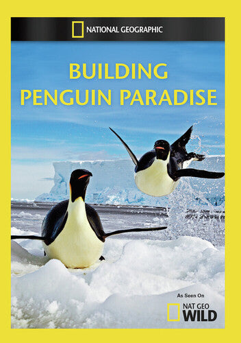 Building Penguin Paradise - Building Penguin Paradise