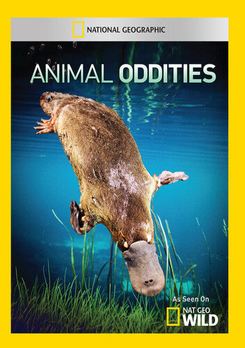 Animal Oddities - Animal Oddities