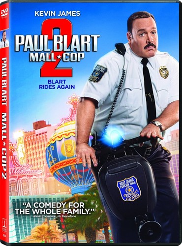 Paul Blart 2 (2015)