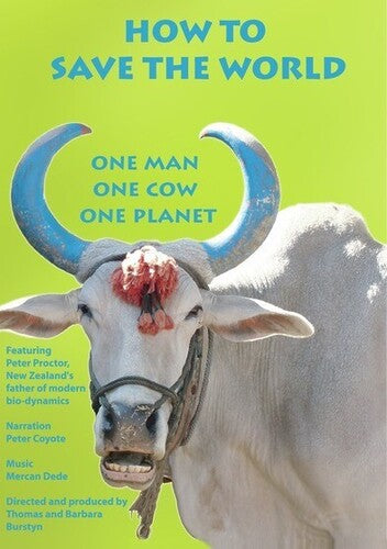 How to Save the World (2007)