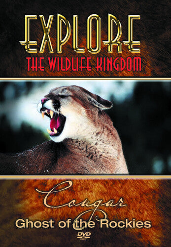 Explore the Wildlife Kingdom - Cougar Ghost of the Rockies