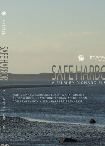 Safe Harbor (2015)