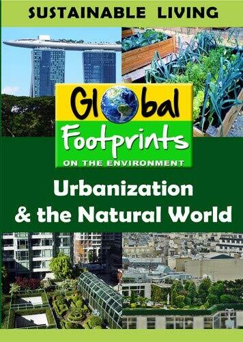 Urbanization & Natural World (2017)
