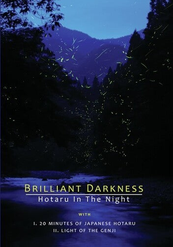 Brilliant Darkness (2015)