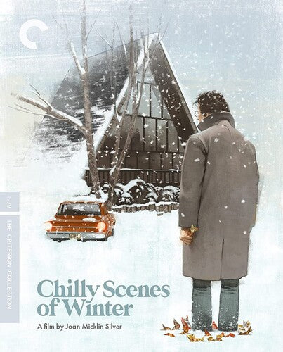 Chilly Scenes of Winter/bd (1979)