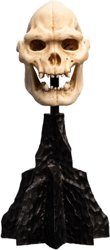 Open Edition Polystone - WETA Workshop Polystone - The Lord of the Rings Trilogy - Skull of Lurtz Polystone Statue