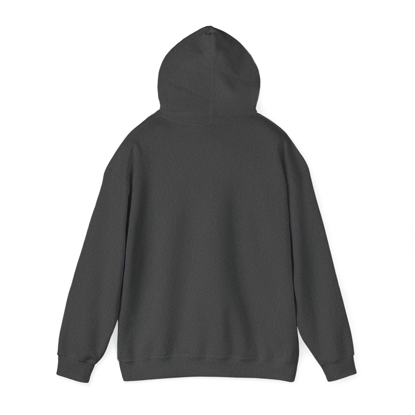 Mayor Campaign Hoodie