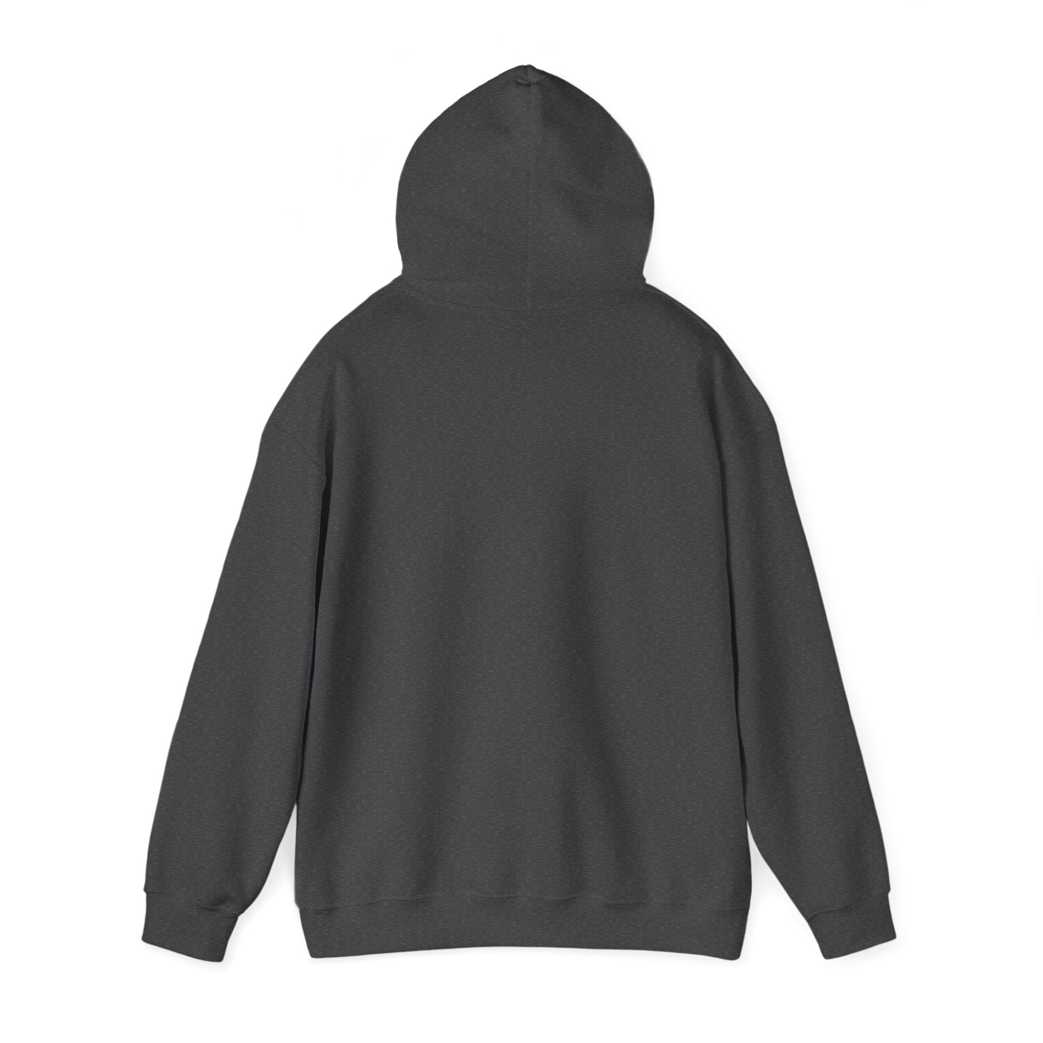 Mayor Campaign Hoodie